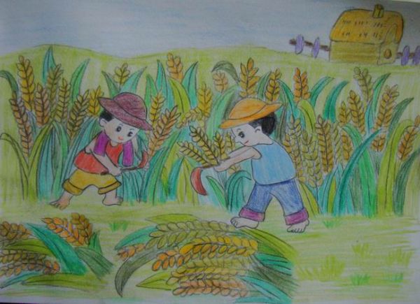 秋天的图画:秋天小麦大丰收 - 儿童创意绘画大全_创意